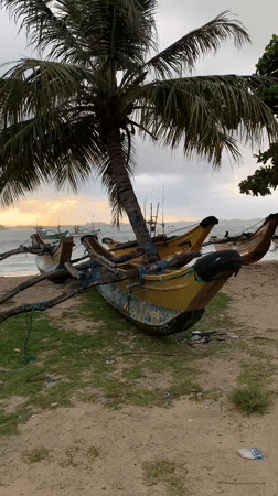 Traditional fishing boats captured at dawn in Weligama, Sri Lanka