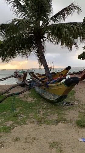 Traditional fishing boats captured at dawn in Weligama, Sri Lanka