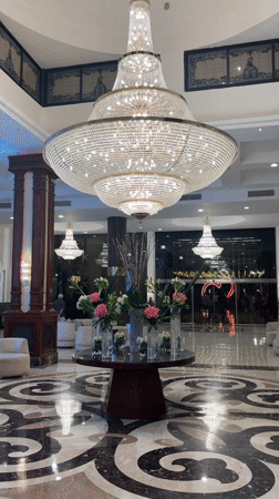 Multiple scenes captured across Egyptian city locations