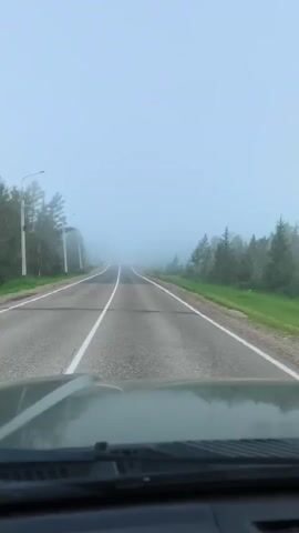A forward-facing POV shot from inside a vehicle shows a two-lane asphalt road winding through a foggy, forested area. The road has white lane dividers and the vehicle's windshield wipers are visible in the foreground. Trees and utility poles line the sides of the road, gradually disappearing into the fog. A blue road sign is visible on the right side of the road. The sky is a hazy, light blue.