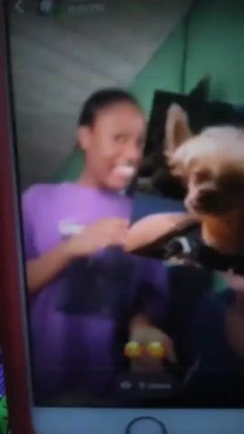 A slightly out-of-focus video displays a young woman and a small dog. The woman, wearing a purple t-shirt, stands on the left and faces the camera with a smile. On the right, a small, light-colored dog with upright ears is held by someone partially visible in a dark top. They are indoors against a background featuring a green wall. The video is displayed on a phone or tablet screen, showing time-stamp "6:10 PM" and "9 views." Kiss emojis are visible at the bottom of the screen. The overall image suggests a casual, personal video shared online.