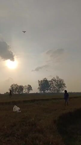 The video shows a wide outdoor shot of a field with two children and a kite in the sky. The sun is low in the sky, casting a warm glow. One child is standing on the left side of the frame, and the other is on the right. A kite is flying in the sky. There is a bag on the ground in the middle of the frame. The background consists of trees and a cloudy sky.