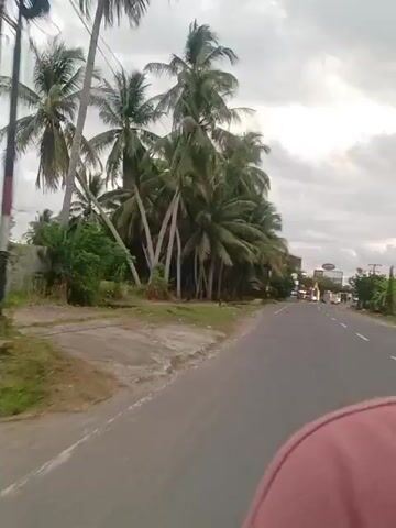 The video depicts a view from a moving vehicle, likely a scooter or motorcycle, traveling on a paved road in a tropical area. The road has white lane markings and is flanked by lush greenery. Palm trees line the roadside, and power lines stretch overhead against a backdrop of an overcast sky with a cloudy, gray atmosphere. In the distance, there are other vehicles, including motorcycles and what appears to be a car or small truck. A glimpse of a pink shirt is visible at the bottom of the frame.  A fence is briefly visible on the left.  The overall impression is of a casual ride along a typical tropical road.