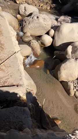 The video shows a clear, shallow stream flowing over rocks. The surrounding area is rocky with some dry vegetation. The water is flowing from upper left to lower right.