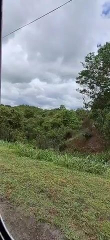 This is a video taken from a moving vehicle, likely a car, showing a landscape with lush green vegetation, tall trees, and a cloudy sky. The road on the left side of the frame is covered with gravel and grass. The vegetation appears dense and overgrown in some areas, with bamboo-like stalks and tall grasses visible. In the distance, there are rolling hills covered in trees. Towards the end of the clip, a small, light blue building with a red metal roof and a white door comes into view. A satellite dish is mounted on the roof. The building has windows with visible bars. A separate, small concrete structure with openings resembling ventilation blocks is also seen near a large tree with sparse foliage. The overall impression is of a rural or semi-rural setting with signs of habitation amidst abundant natural growth.