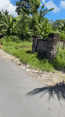 Motorbike journey through rural Gianyar captures local daily life