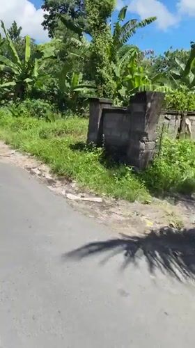 Motorbike journey through rural Gianyar captures local daily life