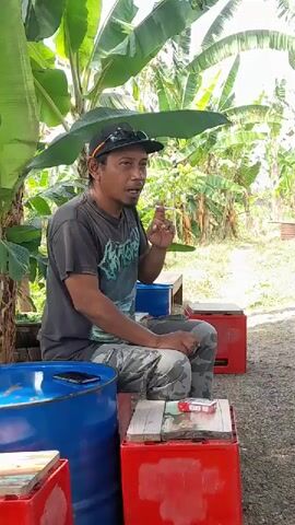 A man wearing a black baseball cap and a dark graphic t-shirt sits on a red plastic crate. He is smoking a cigarette and gesturing with his hand. He has on camouflage pants. To his left is a blue barrel. To his right, on another red crate, is a pack of cigarettes and a lighter. He is outdoors, with large green banana leaves overhead and a banana plantation in the background.