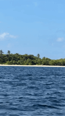 Tropical island scene recorded from water near Maldives