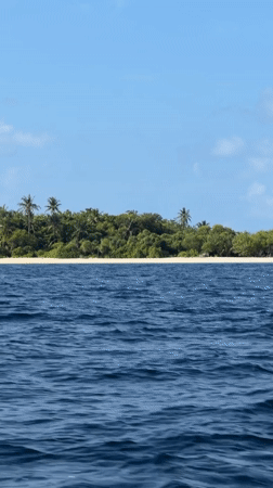 Tropical island scene recorded from water near Maldives