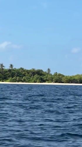 Tropical island scene recorded from water near Maldives