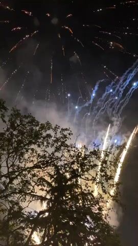 The video captures a fireworks display at night, with the camera angled upwards to show the bursts above a tree line. The fireworks explode in a variety of colors, including gold, blue, and red, creating trails and bursts that illuminate the sky. Some smoke is visible, partially obscuring the dark sky dotted with a few faint stars. The tree branches in the foreground are silhouetted against the light of the fireworks. Loud explosive sounds accompany the visual display.