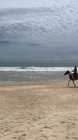 Beach day activities documented at Choeng Thale, Thailand