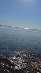 Lazy beach day with umbrellas, hammocks, and clear water