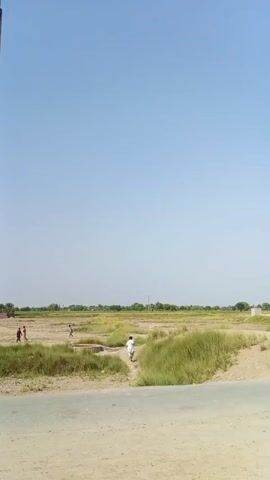 The video opens with a wide shot of an outdoor scene under a clear blue sky. In the foreground, a dusty road is visible, leading into a landscape with dry vegetation and some patchy green grass. In the middle ground, several figures are spread across a field. Two figures appear to be playing a game, possibly cricket, indicated by their stances and the presence of a bat and ball. Another figure is walking away from the camera. Further in the background, there are more fields, some with crops, and a few small, simple buildings constructed from brick. A dirt path winds through the landscape. A bird is seen flying across the sky. As the video progresses, the camera pans slightly to the right, revealing a motorbike with a rider traveling on the road in the distance. The environment appears rural and arid.