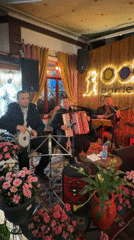 Live traditional music performance at Tiranë bar