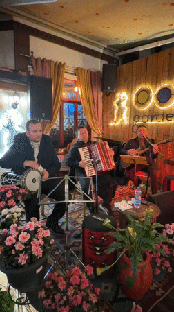Live traditional music performance at Tiranë bar