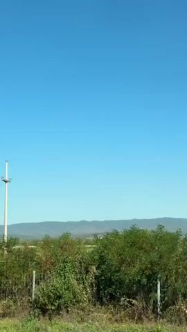 The video captures a view of a rural landscape under a clear blue sky. In the foreground, there is a grassy area with some bushes and a metal fence post. Beyond the foreground, there are rows of green crops, possibly a field of vines or a similar agricultural cultivation. In the middle ground, a line of trees and bushes separates the cultivated field from the distant background. Further in the distance, a low range of hills or mountains can be seen, with a small settlement or town visible on the plains between the fields and the hills. A utility pole with wires stretches across the horizon. The camera appears to be moving, showing a panning motion from left to right, indicating that the footage was likely captured from a moving vehicle. The overall impression is of a sunny day in the countryside.