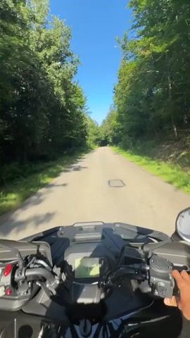 The video shows a first-person perspective of someone riding an ATV on a paved road through a forest. The road is surrounded by lush green trees and under a clear blue sky, indicating a sunny day, likely in the late morning or early afternoon. The ATV's dashboard is visible, displaying a speed of 44 mph at the beginning of the clip, which increases to 48 mph by the end. The rider's hands are on the handlebars, with one hand reaching for the throttle. The scene is peaceful and serene, with the gentle hum of the ATV engine and the rustling of leaves as the primary sounds. There is a noticeable patch on the road and a white sign on the left side of the ATV that is too blurry to read. The overall mood is one of freedom and enjoyment of nature. The location context provided, Orlovtsi, Bulgaria, places this scenic ride in a rural European setting.