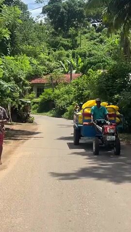 The video shows a quiet, rural road in a tropical environment. Dense green vegetation covers the surrounding area, including a lush hillside in the background. A simple, one-story house with a red tile roof is nestled among the trees. A cyclist wearing a yellow shirt and a helmet rides away from the camera along the road, towards the house. Another bicycle carrying goods passes the camera, heading in the opposite direction. The scene is well-lit, with dappled sunlight filtering through the trees.