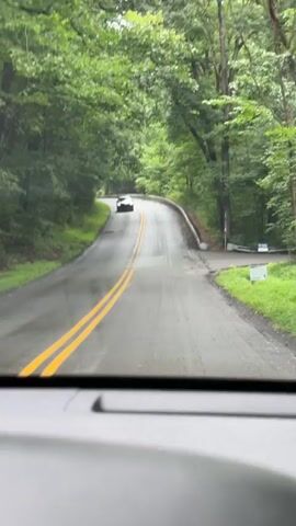 The video shows a car driving on a winding road through a forest. The road is paved and has two yellow lines in the center. The trees on either side of the road are lush and green. There is a black car in front of the camera vehicle. There is a guardrail on the right side of the road. There are some signs on the right side of the road. The sky is overcast.