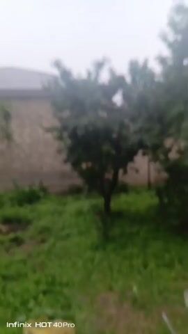 The video shows a slightly blurry outdoor scene with a brick building on the left and trees in the foreground. The sky is overcast and appears to be a light gray color. The leaves on the trees are green, and the ground is covered with green grass and vegetation. The timestamp "00:00" is visible in the top left corner of the screen. At the bottom left corner, "Infinix HOT 40 Pro" is displayed, indicating the device used to record the video. The weather appears to be cloudy or rainy. The camera is held steady, suggesting a still shot or a very slow pan.