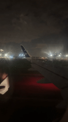 Night flight and pet hamsters captured in Khimki