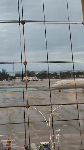 An Etihad Airlines airplane is on the tarmac of an airport. The airplane is light beige with the Etihad logo and name printed on it. The airplane is positioned to the right of the frame and is facing towards the left. The tarmac is wet, suggesting recent rain. There are yellow lines on the tarmac. In the background, there are trees and the ocean. The sky is cloudy and gray. The view is through a large glass window with a grid of metal bars. There are also some airport vehicles visible in the foreground, including a small white truck.