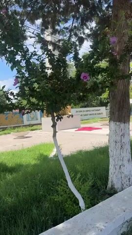The video shows a memorial monument in an outdoor setting. The monument features a group of golden figures on a white base, with a red star on the ground in front of it. There is text written on a blue and white wall behind the monument. The area is surrounded by green grass and trees, some of which have their lower trunks painted white. A red bench is visible in the background. The sky is overcast. The camera pans slightly to the right, revealing more of the greenery and the surrounding area.