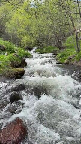 The video showcases a small, fast-flowing river or stream. The water is clear but appears turbulent, rushing over and around rocks and small cascades. The banks of the stream are lined with green vegetation, including grass and trees with light green foliage. The scene is natural and undisturbed, suggesting a remote or rural location.