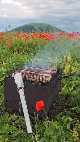 A charcoal grill filled with sausages is shown cooking in a field of red poppies, with a green hill in the background. A pair of silver tongs rests on the grill. The sky is cloudy.
