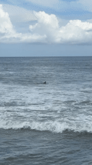 Early morning swimmer spotted off rocky Mengwi coastline