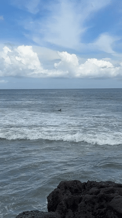Early morning swimmer spotted off rocky Mengwi coastline