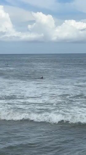 Early morning swimmer spotted off rocky Mengwi coastline