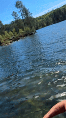 Person enjoys lake swimming and kayaking in Åmot, Norway