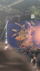 Live concert with dancing crowds captured in Paris