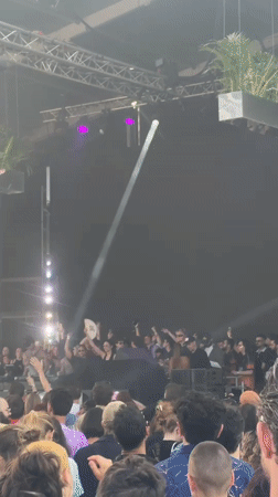 Live concert with dancing crowds captured in Paris