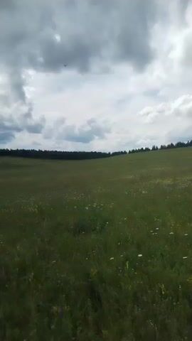 This media file presents a serene, natural landscape under a dramatic, cloudy sky. The scene is a vast, rolling field covered in lush green grass dotted with small white and yellow wildflowers. In the distance, a dense, dark line of trees forms the horizon, suggesting a forest bordering the meadow. The sky above is filled with large, grey, and white cumulus clouds, indicating potentially unsettled weather, perhaps before or after rain. The light is diffused, casting no harsh shadows and creating a soft, somewhat somber atmosphere.

The camera appears to be moving, likely handheld, capturing a panning or slow-moving view across the field. There are no people or man-made objects visible, emphasizing the wild, untouched nature of the location. The time of day is indeterminate but could be late morning or afternoon given the cloud cover. The overall impression is one of peaceful solitude and the raw beauty of the Russian countryside. The location cues of Chebarkul', Russia, place this scene in a region known for its natural landscapes, including forests and fields, which aligns with the visual information. There is no visible text within the media file itself.
