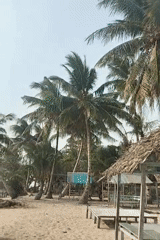 Laid-back beach morning on the shores of Dobo, Aru Islands