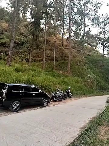 A black car and three motorcycles are parked on the side of a paved road. The road curves to the right and leads into a wooded area with tall pine trees. The hillside to the left of the road is covered in lush green grass and smaller trees. The lighting suggests it is daytime, possibly late afternoon or early morning, with soft, diffused light. No people are visible in the frame, and no actions or interactions are occurring. The scene is static and peaceful.