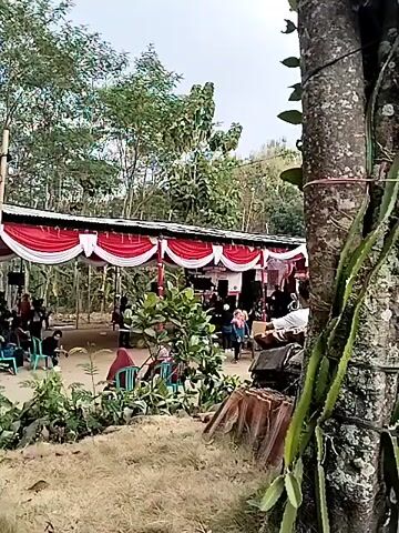 The video shows an outdoor gathering. A red and white draped canopy stretches across a building structure. Several people are visible beneath the canopy and in front of it, some sitting in chairs and others standing and walking. The scene appears to be a festive or community event, with decorations suggesting a celebration. The environment is natural, with trees and foliage visible in the background and foreground. The lighting suggests it is daytime.