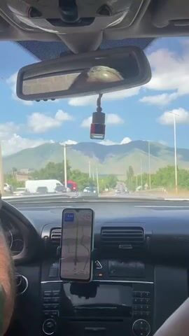 The video shows a first-person perspective from inside a car. The driver's hands are visible on the steering wheel. A smartphone is mounted on the dashboard, displaying a navigation app with a route highlighted. The car is on a road with other vehicles visible ahead. The scenery outside the car includes trees, mountains, and a blue sky with clouds. A hanging air freshener is visible from the rearview mirror. The car appears to be in motion.