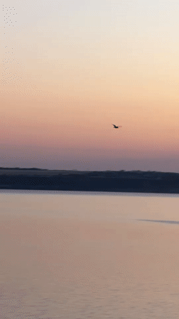 Golden hour along the Dnieper River near Protopopivka