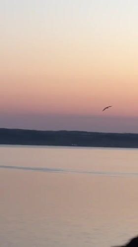 Golden hour along the Dnieper River near Protopopivka