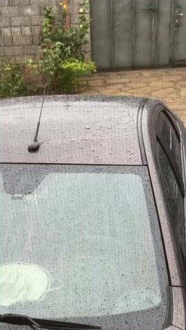 A car's roof and windshield are covered in raindrops. The car is parked outside, with a brick wall and a large metal gate in the background. Green bushes with some flowers are visible near the wall. The weather appears to be rainy.