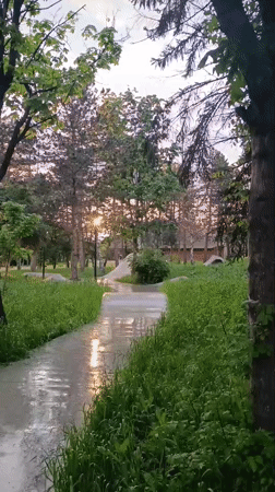 Wet park walkway documented in Lermontov, Russia