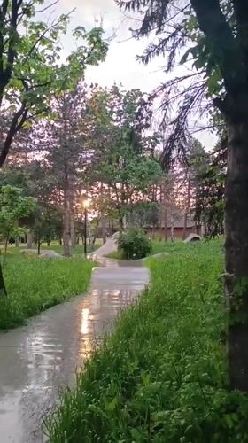 Wet park walkway documented in Lermontov, Russia