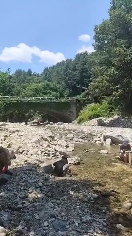 The video shows a clear stream with a rocky bed. Two people are visible in the water. The person on the left is partially submerged in the water, facing away from the camera. The person on the right, who appears to be an adult, is sitting on the bank of the stream, looking at a child. The child, wearing a pink and white outfit, is standing in the water, facing the adult. In the background, there is a lush green forest with a bridge visible in the distance. The sky is blue with some white clouds. The scene suggests a warm, sunny day with people enjoying nature.