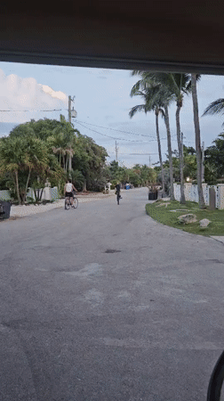 Two cyclists ride through tropical Islamorada neighborhood at night