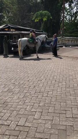 A white horse is standing on a cobblestone path. Two children, one wearing a yellow shirt and the other a pink shirt, are sitting on the horse, facing the same direction. A person in a green robe and a headscarf is standing next to the horse on the left, appearing to be guiding it. Another person in a brown hat and blue shirt is standing to the right of the horse, facing it. Behind the horse, there is a vehicle with a black awning and a small building. Trees and foliage are visible in the background. The sun is shining, casting shadows on the ground.